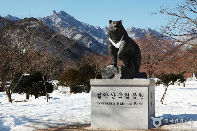Yuk Naik Gunung Seorak di Korea! | kumparan.com