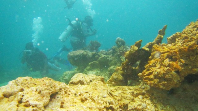 Terumbu Karang di Raja Ampat, Papua. (Foto: Dok. Kementerian Lingkungan Hidup dan Kehutanan)