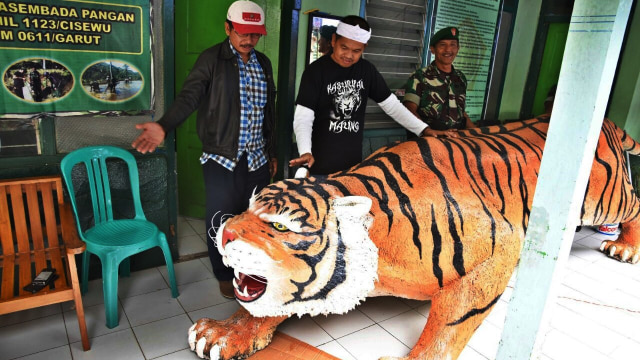 Unduh 770 Gambar Harimau Lucu  HD