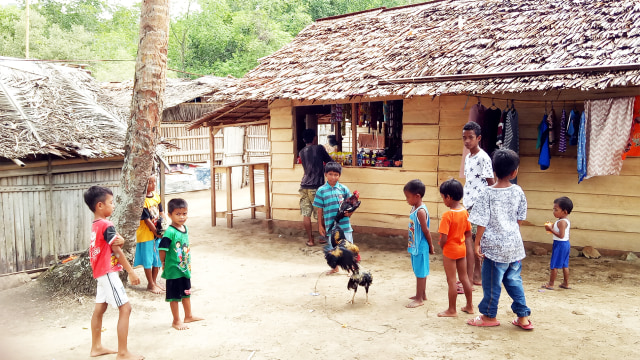 Bocah-bocah Desa Iha yang saling mengadu ayam. (Foto: Naufal Abdurrasyid/kumparan)