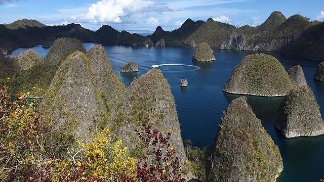 Raja Ampat (Foto: instagram/@rajaampatislands)