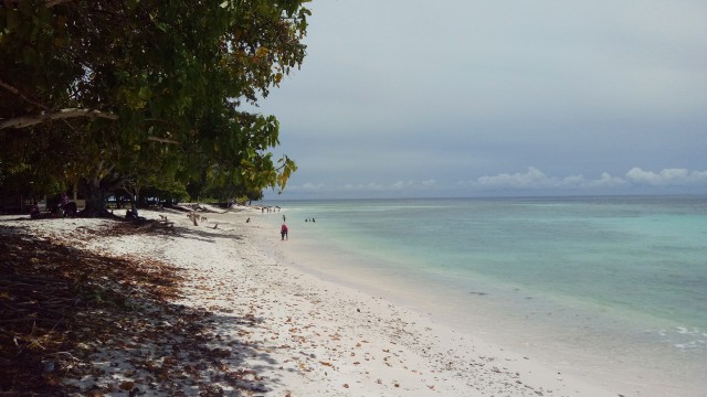 Pepohonan rindang menyatu dengan Pantai Jikumerasa (Foto: Naufal Abdurrasyid/kumparan)