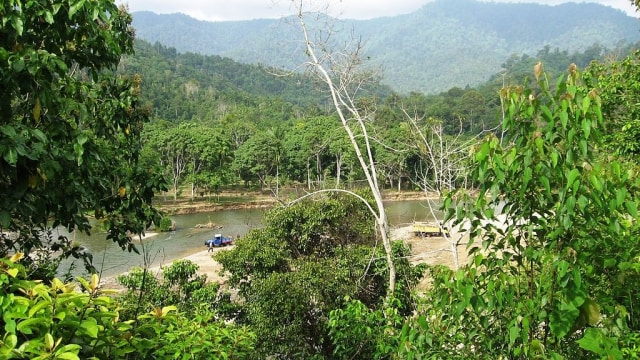 Hutan Leuser, Aceh (Foto: wikimedia commons)
