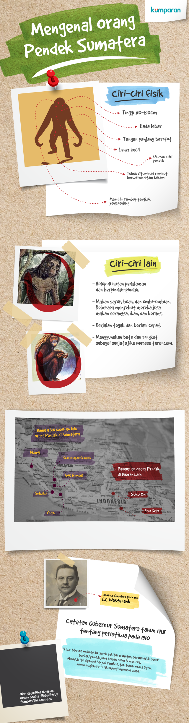 Infografis Orang Pendek di Indonesia (Foto: Ridho Robby/kumparan)