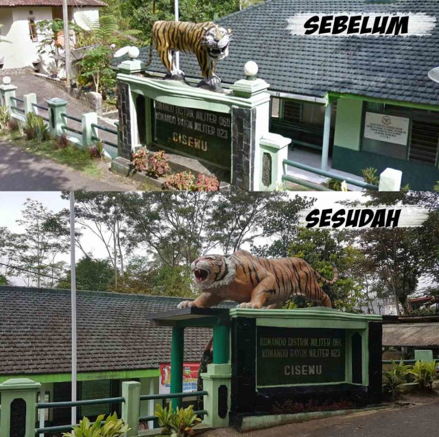 MAUNG YANG DULU LUCU SEKARANG JADI MAUNG KEBANGGAAN YANG GAGAH DAN GARANG