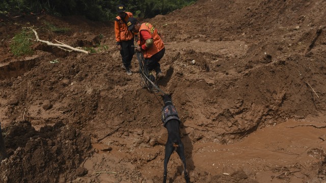 Pencarian korban longsor Ponorogo (Foto: Zabur Karuru/Antara)