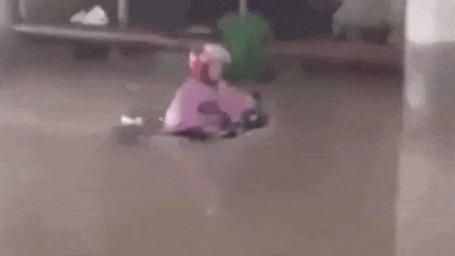 Emak-emak si ratu jalanan (Foto: Dok. Youtube)