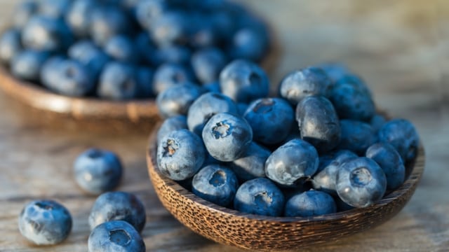 Blueberry bisa memperlambat penuaan. (Foto: Thinkstock)