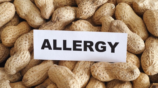 Kacang picu alergi (Foto: Munady)
