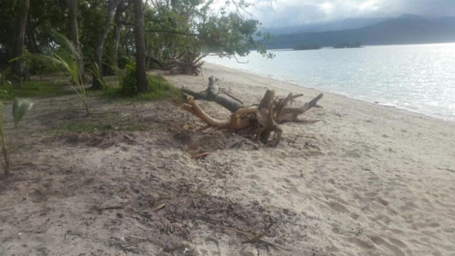 Pulau Ambon