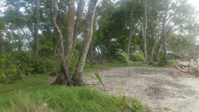 Pulau Ambon