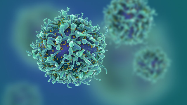 Peneliti Temukan Cara Baru Membasmi Sel-sel Kanker (273511)