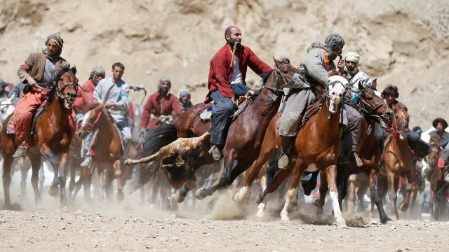 Lomba tarik kambing di Afganistan (Foto: Omar Sobhani/Reuters)