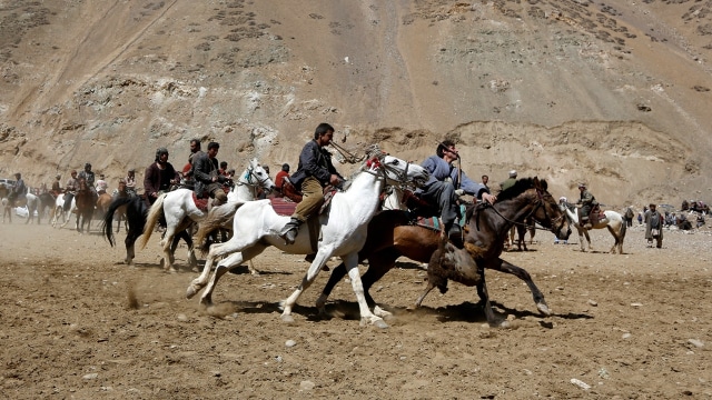 Lomba tarik kambing di Afganistan (Foto: Omar Sobhani/Reuters)