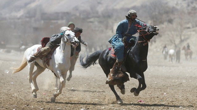 Lomba tarik kambing di Afganistan (Foto: Omar Sobhani/Reuters)