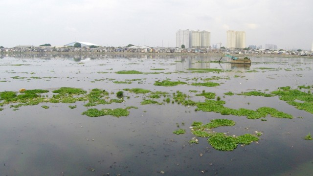 Waduk Pluit dahulu (Foto: Aditia Noviansyah/kumparan)