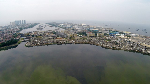 Pembersihan waduk Pluit. (Foto: Aditia Noviansyah/kumparan)