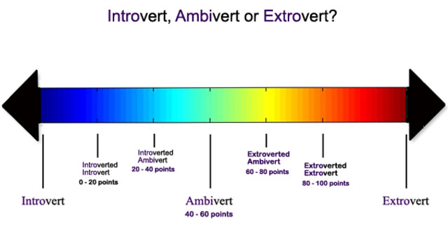 Permisi Ekstrovert Dan Introvert Ambivert Mau Lewat Kumparan Com