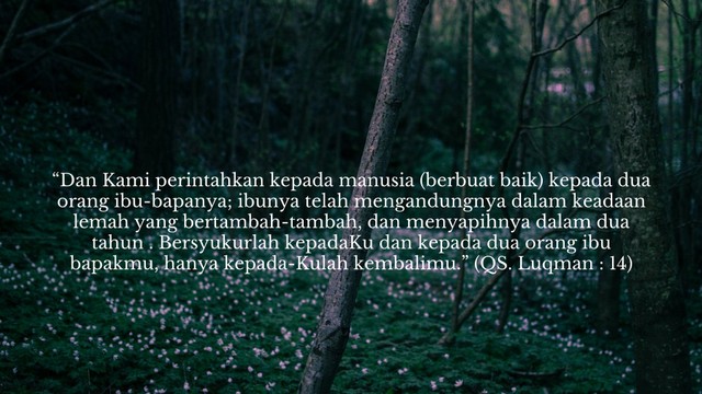 Perintah Untuk Berbakti Kepada Orang Tua Kumparan Com