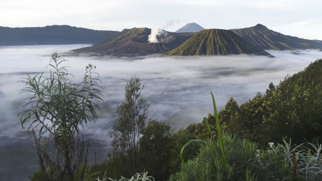 Gunung Bromo. Foto: Antara/Zabur Karuru