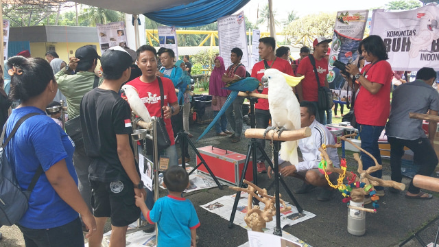 Pameran unggas nasional di TMII (Foto: Iqra Ardini/kumparan)