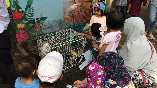 Anak-anak juga hadir di pameran unggas nasional (Foto: Iqra Ardini/kumparan)