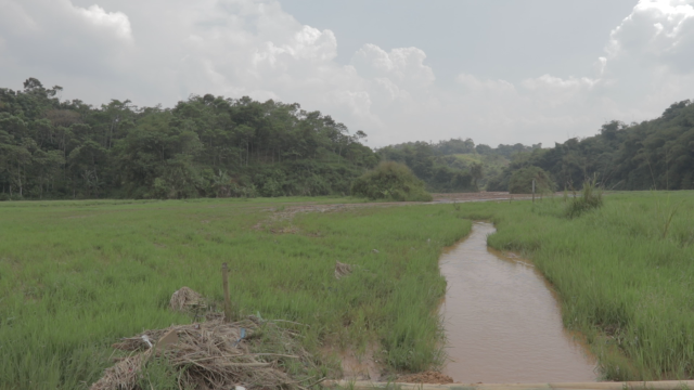 Sungai dan sawah yang tercemar lumpur. (Foto: Ridho Robby/kumparan)