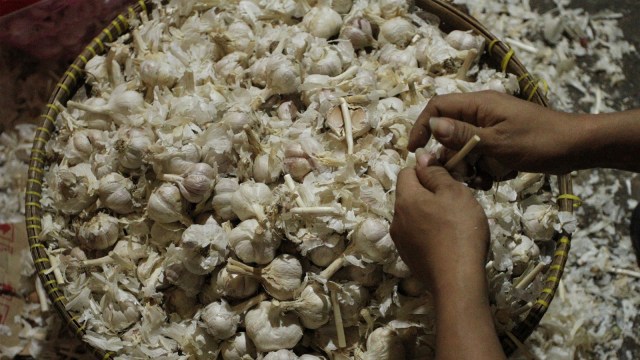 Bawang putih. (Foto: Antara/Angga Budhiyanto)