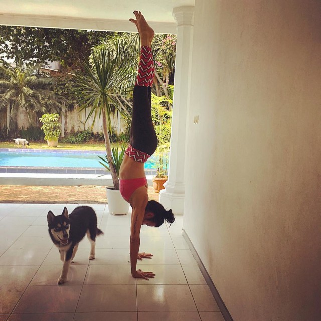 Sophia Latjuba Yoga (Foto: Instagram sophia_latjuba88)