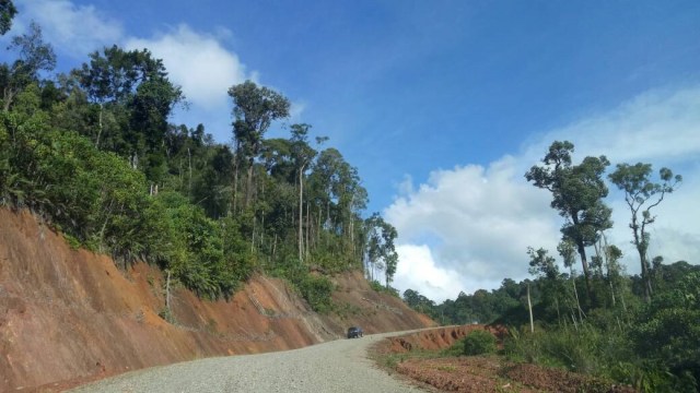Ilustrasi Jalur perbatasan Kalimantan Barat-Malaysia Foto: Novan Nurul Alam/kumparan