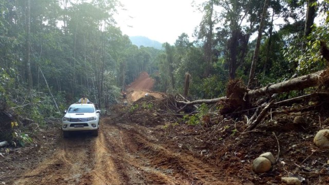 Jalur perbatasan Kalimantan Barat-Malaysia (Foto: Novan Nurul Alam/kumparan)
