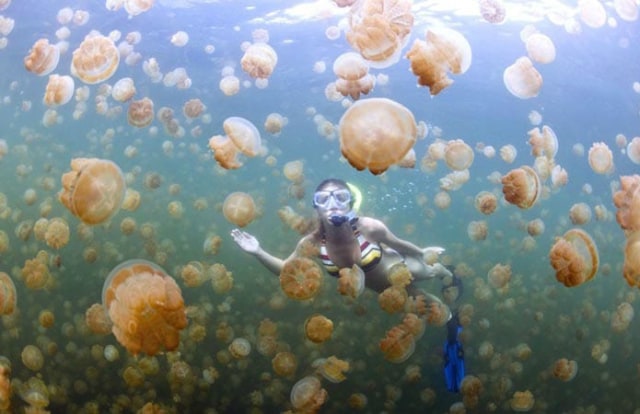 12 Wisata di Derawan yang Membuat Derawan Beda dari Destinasi Lain (45195)