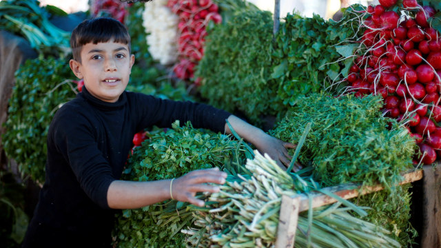 Anak-anak di Mosul bekerja menjual sayur dan buah. (Foto: REUTERS/ Muhammad Hamed)