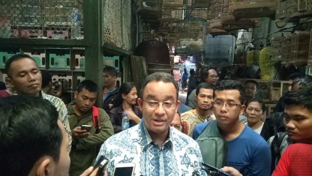 Anies di Pasar Burung (Foto: Aria Pradana/kumparan)