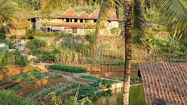 Area pertanian permakultur Bumi Langit (Foto: Dok. Bumi Langit Institute)