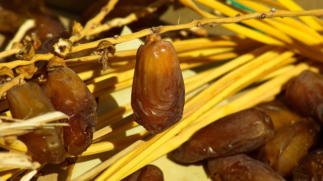 Kurma (Foto: Pixabay)