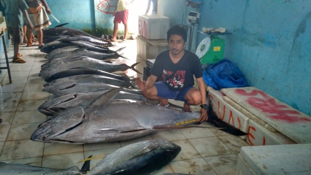 Ikan Tuna di Laut Bone. (Foto: Dok. Ketua LSM Yayasan Mattirotasi)