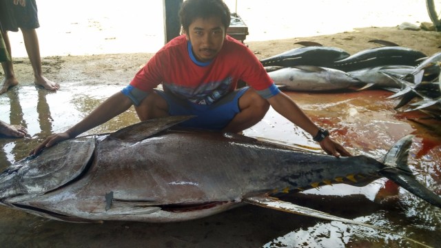 Ikan Tuna di Laut Bone. (Foto: Dok. Ketua LSM Yayasan Mattirotasi)