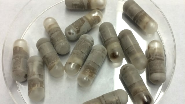 Poop pil untuk Fecal Transplant (Foto: hopkinsmedicine.org)