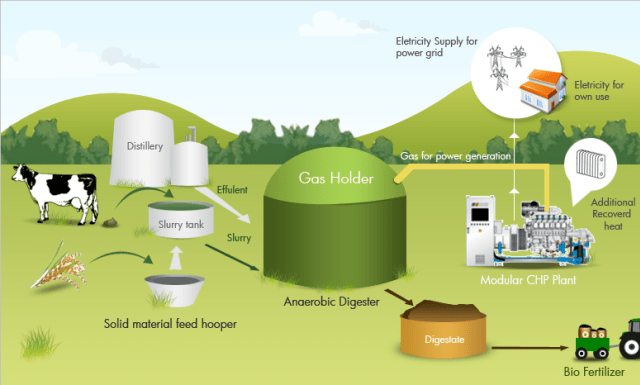 Ilustrasi proses menghasilkan biogas (Foto: bantenprov.go.id)