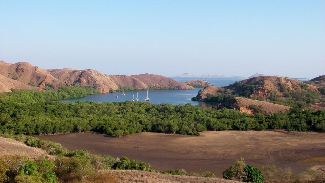 Pulau Komodo (Foto: Wikimedia Commons)