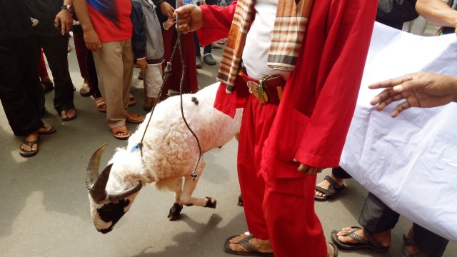 Peserta Lomba Palang Pintu (Foto: Nadia Jovita Injilia Riso/kumparan)