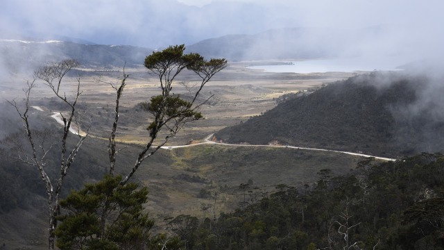 Ruas Wamena-Mumugu tersambung (Foto: Indrianto Eko Suwarso/Antara)