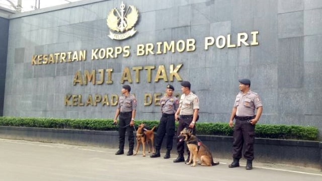 Dua anjing  disiagakan Mako Brimob. (Foto: Marcia Audita/kumparan)