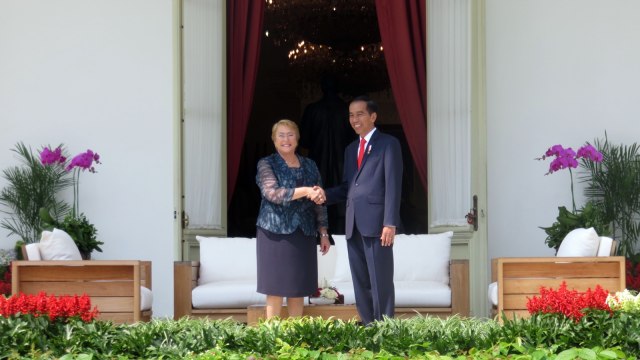 Presiden Jokowi menerima Presiden Bachelet. (Foto: Yudhistira Amran Saleh/kumparan)