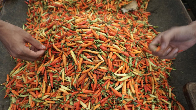 Cabai merah di pasar (Foto: Aditia Noviansyah/kumparan)