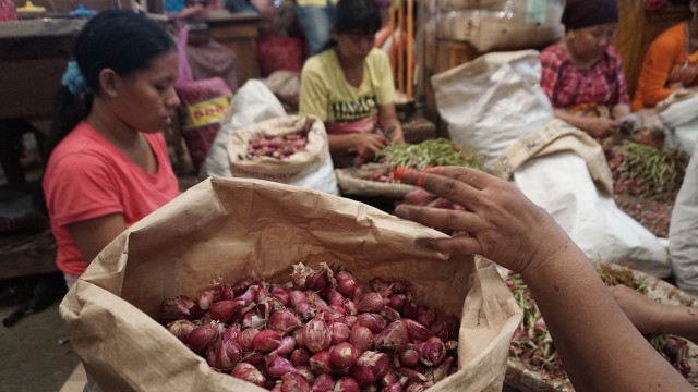 Foto ilustrasi bawang merah (Foto: Aditia Noviansyah/kumparan)