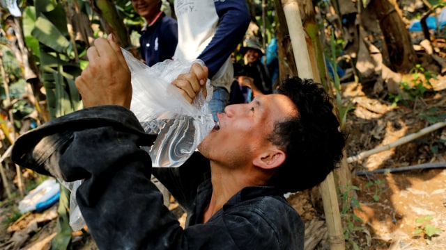 Pekerja di kebun pisang.. (Foto: Reuters/Jorge Silva)