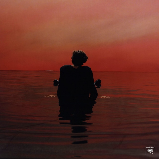 Harry Style's New Album Track List: Sign Of The Times