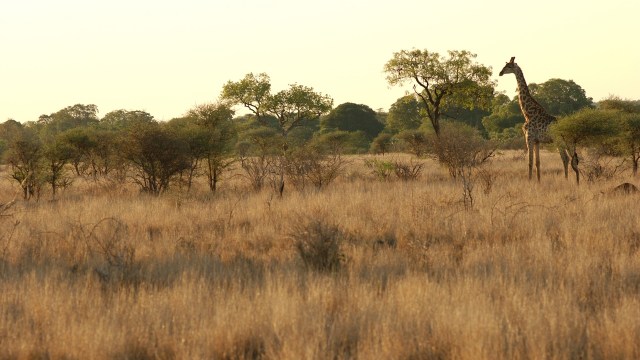 Afrika Selatan (Foto: Thinkstock)